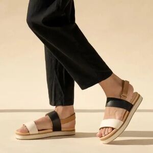 NEW IN BOX Nisolo Go-To Flatform Sandal in Almond/Bone/Black Colorblock Size 7.5